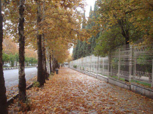 Eram Garden, Shiraz