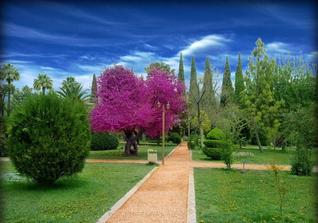 Eram Garden, Shiraz