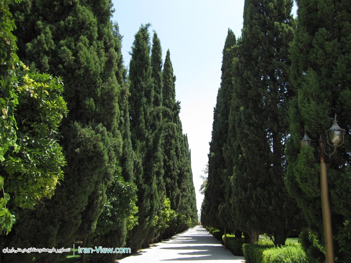 Eram Garden, Shiraz