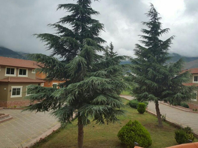 Parsian Hotel Kelardasht