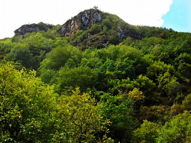 Aynaloo Protected Area (Arasbaran)