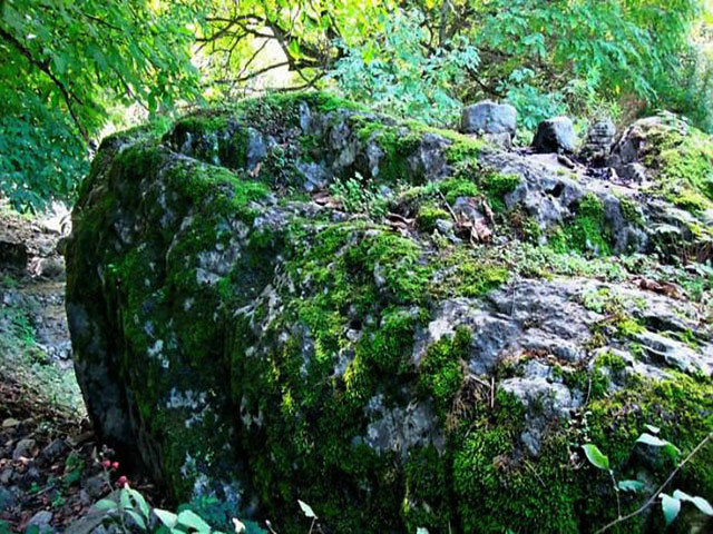 Aynaloo Protected Area (Arasbaran)