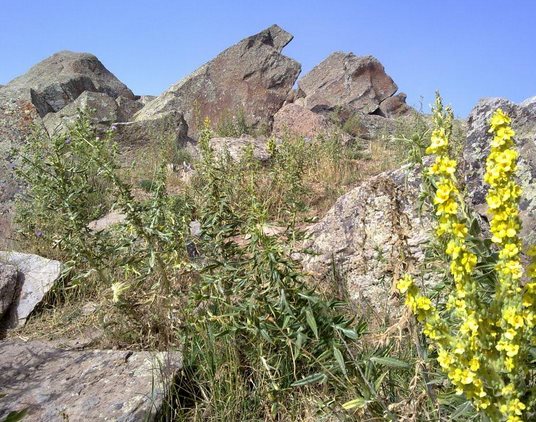 Okuz Daghi Heris