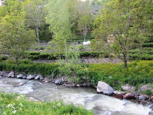 Majarshin Village