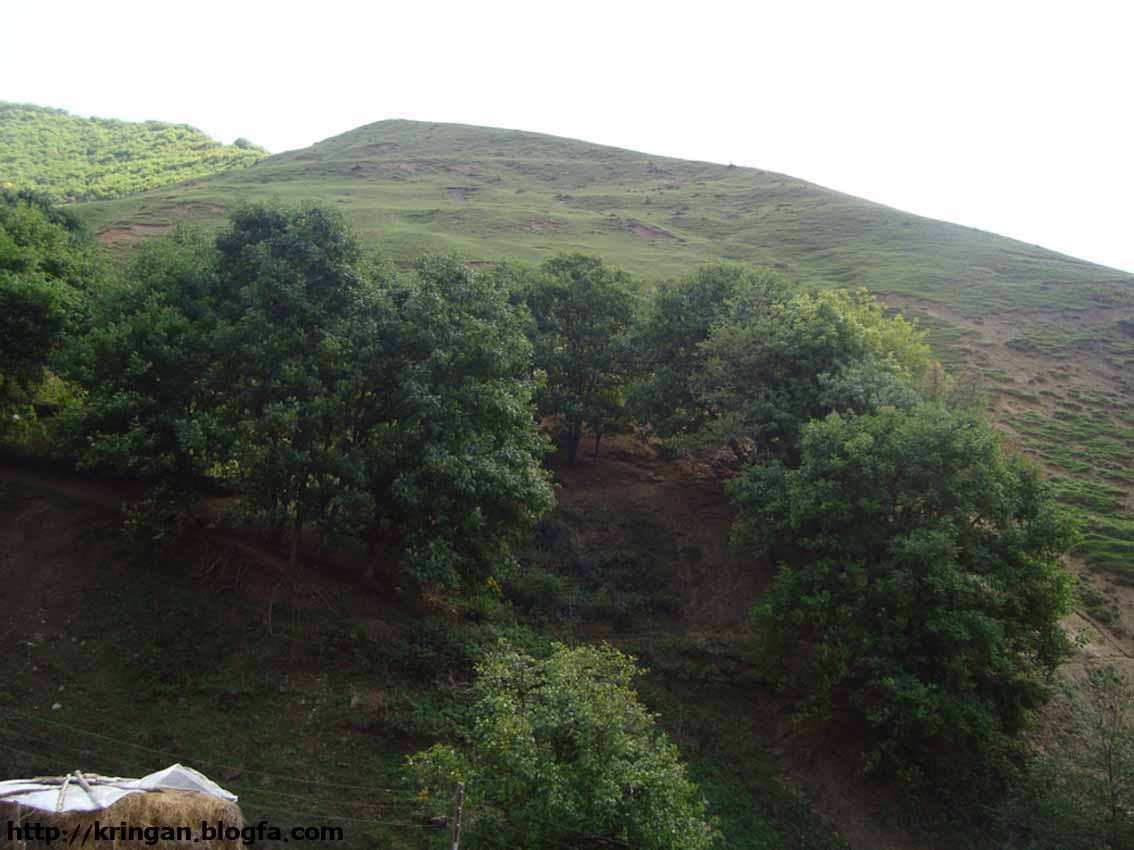 Kringan Village