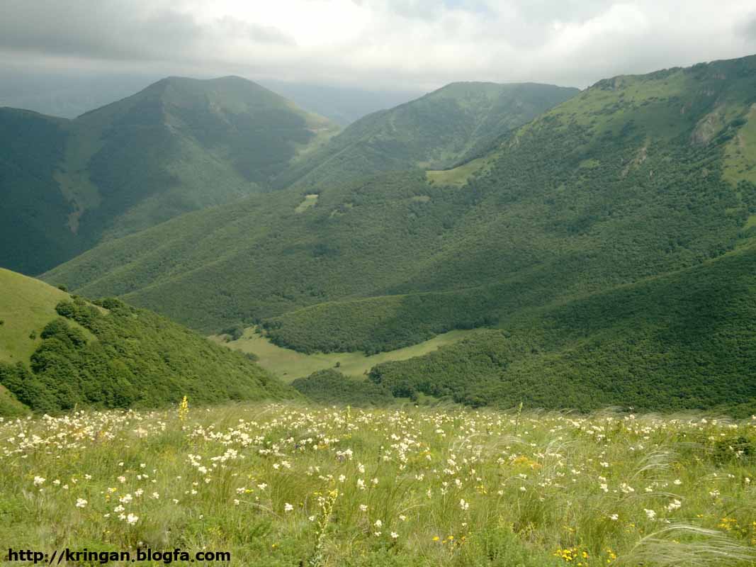 Kringan Village