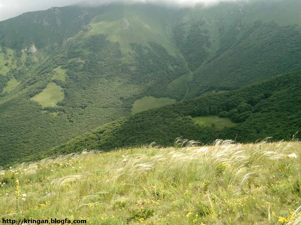 Kringan Village