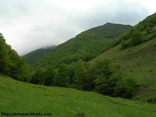 Kringan Village