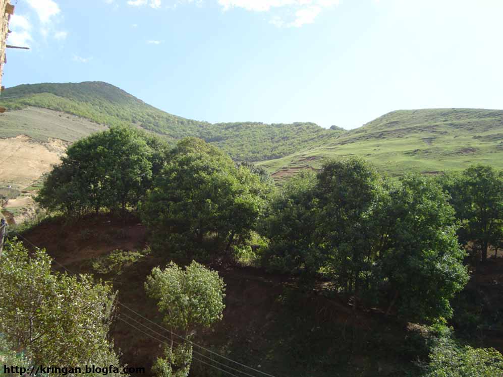 Kringan Village