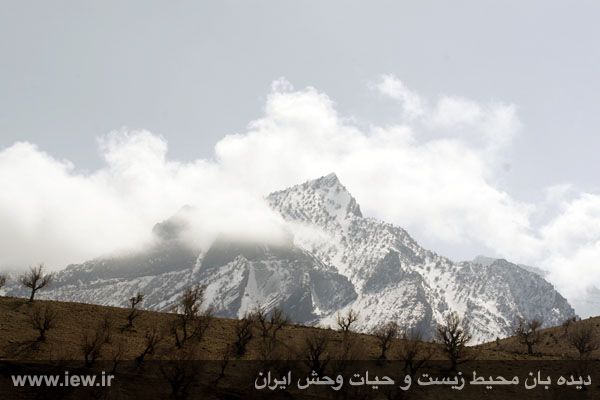Kabir Kouh Protected Area