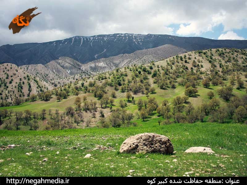 Kabir Kouh Protected Area