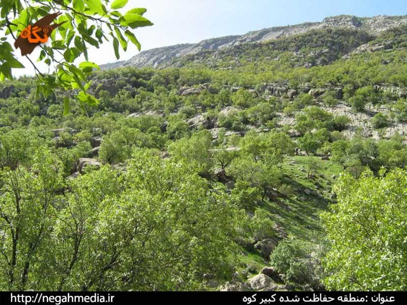 Kabir Kouh Protected Area