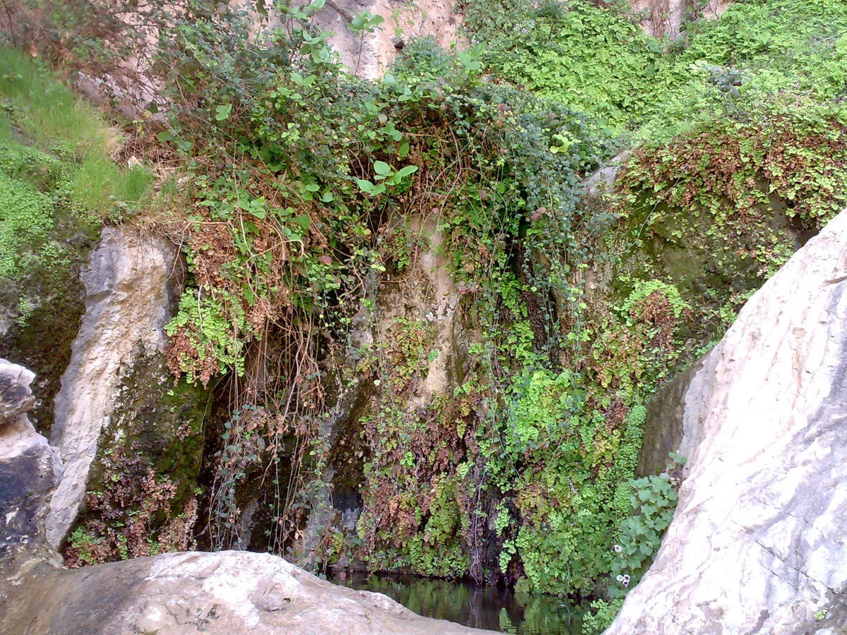 Ancient Bahram Chobin Canyon
