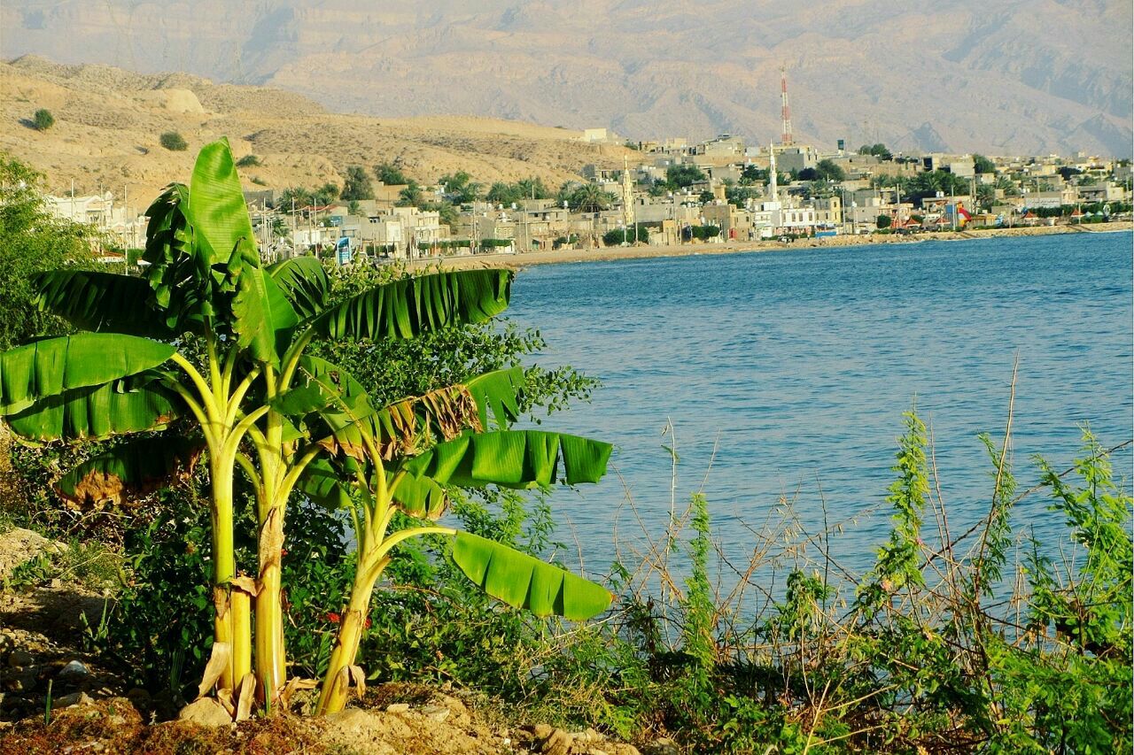 Ancient Siraf City