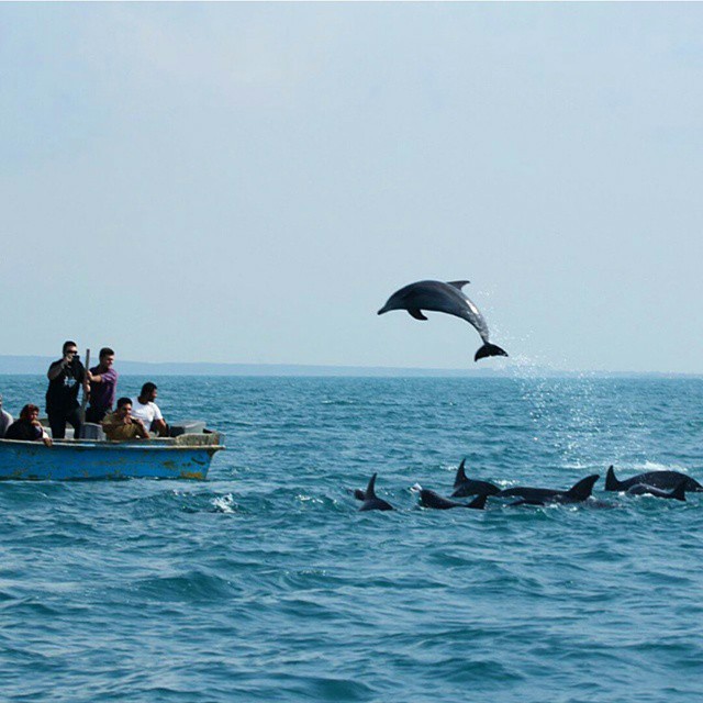 Persian Gulf