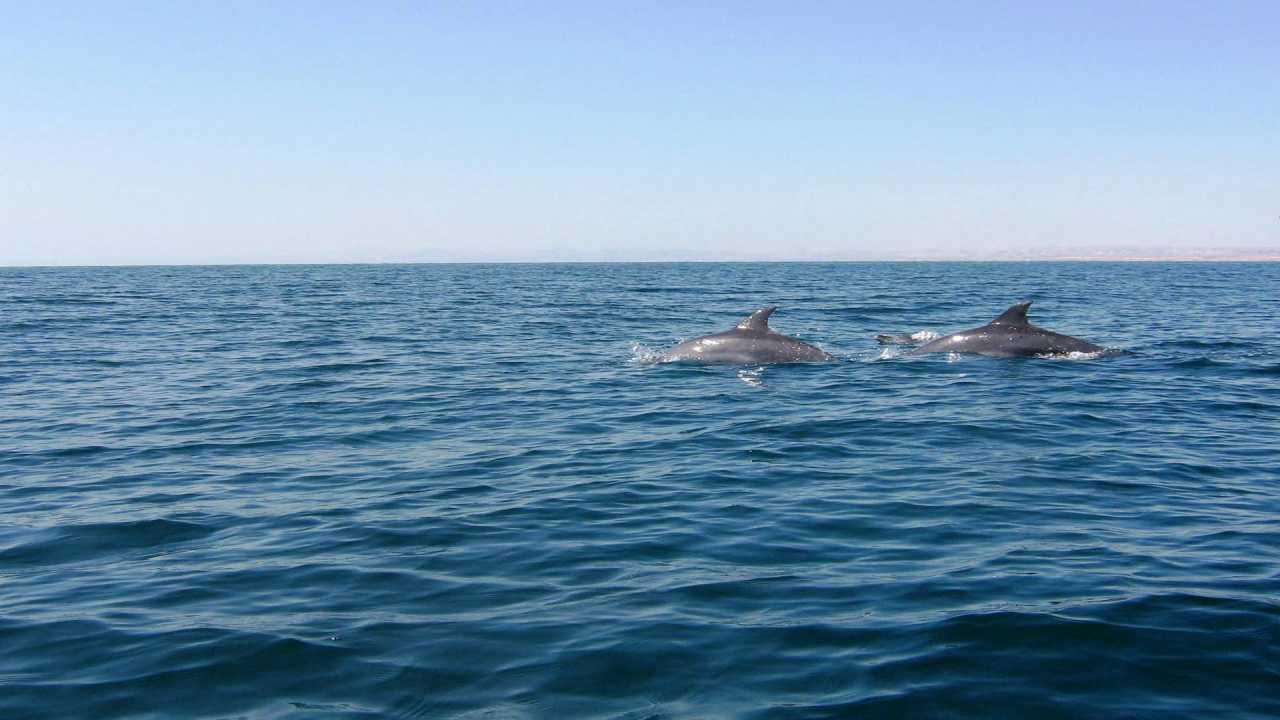 Persian Gulf
