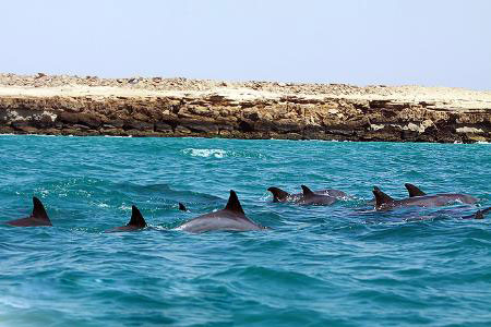 Persian Gulf