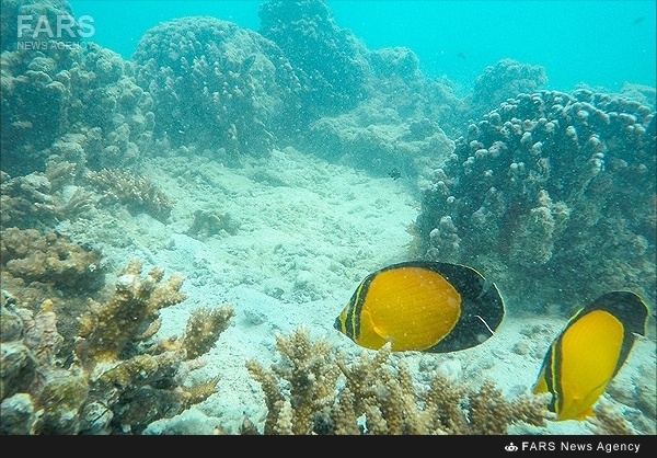 Persian Gulf