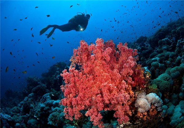 Persian Gulf