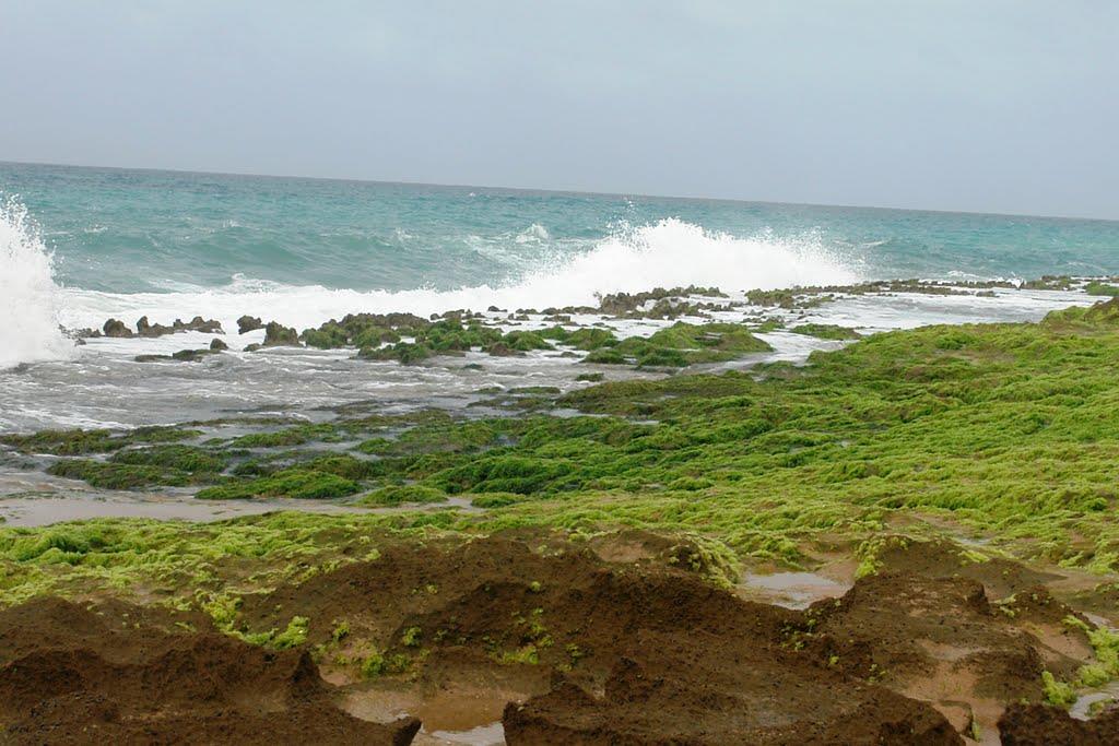 Chabahar Beautiful Beaches