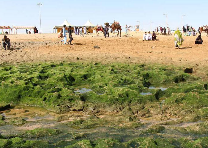Chabahar Beautiful Beaches