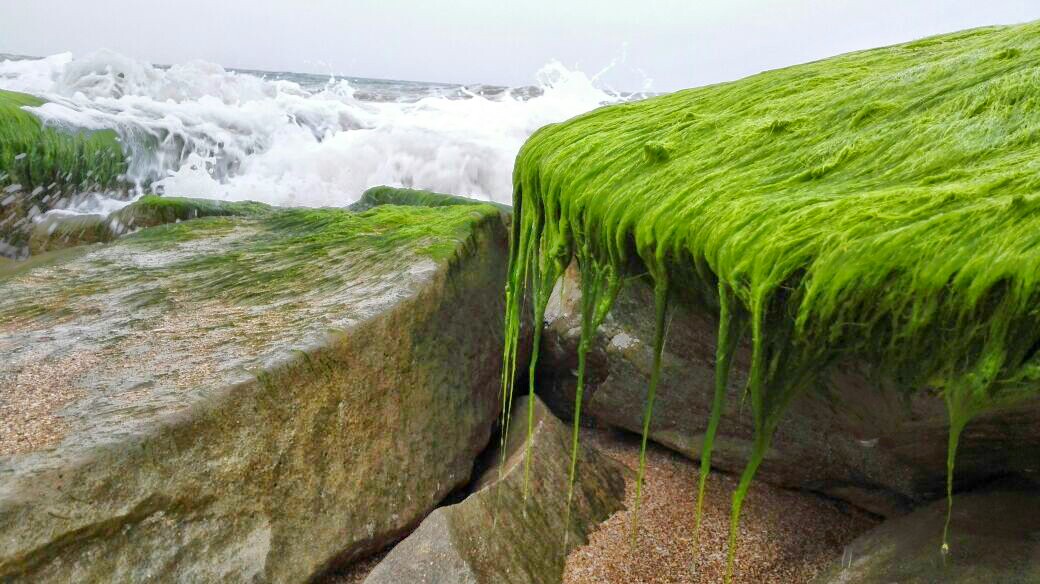 Chabahar Beautiful Beaches
