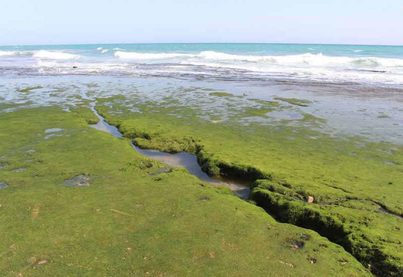 Chabahar Beautiful Beaches