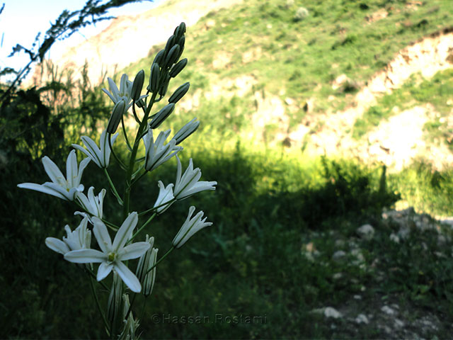 Dugijan Cave and Village