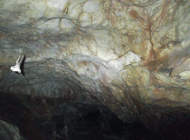 Dugijan Cave and Village
