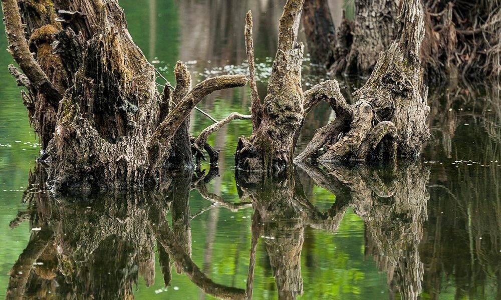 Ghost Lake