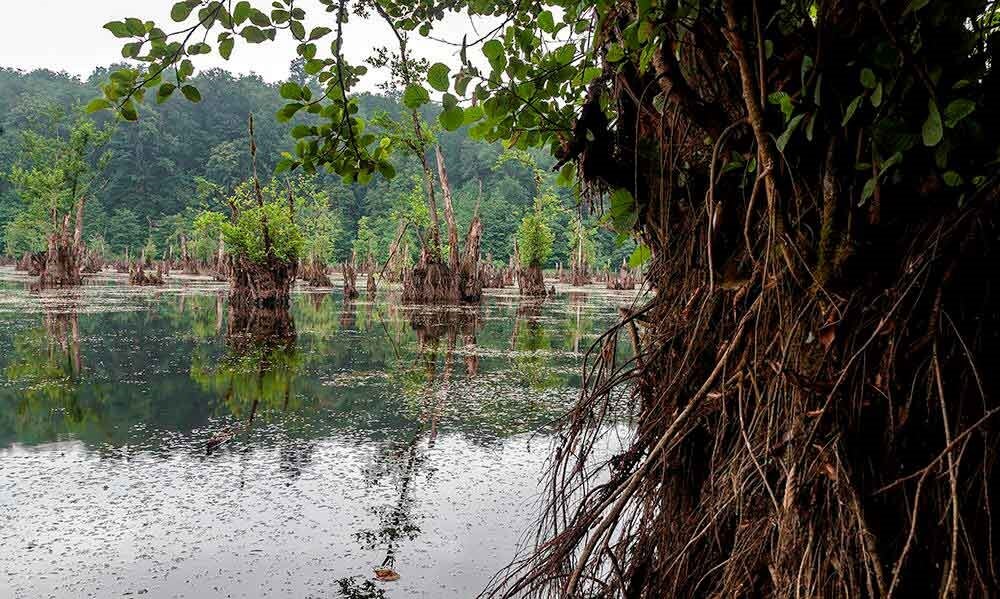 Ghost Lake