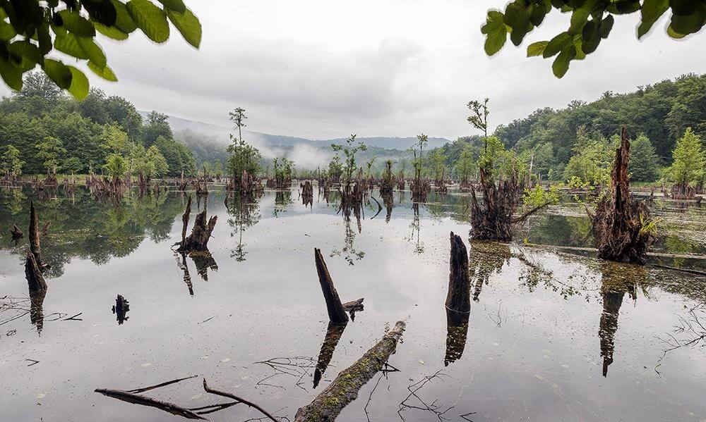Ghost Lake
