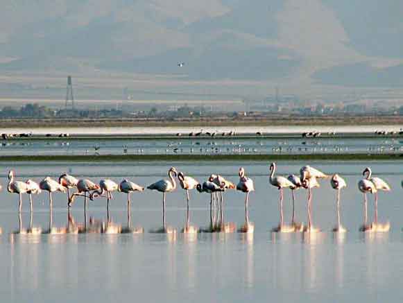 Mighan Lagoon