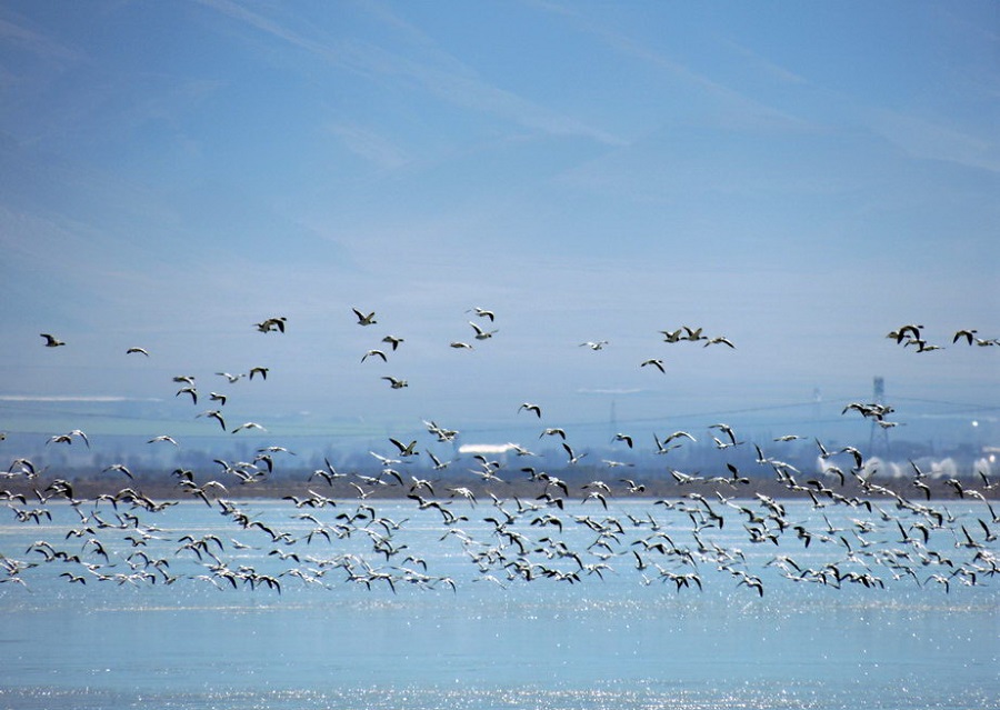 Mighan Lagoon