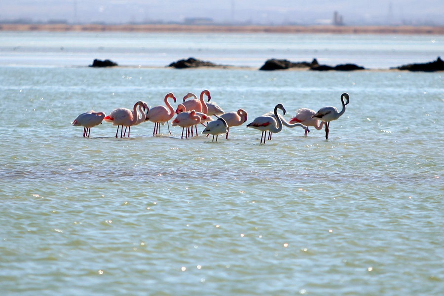 Mighan Lagoon