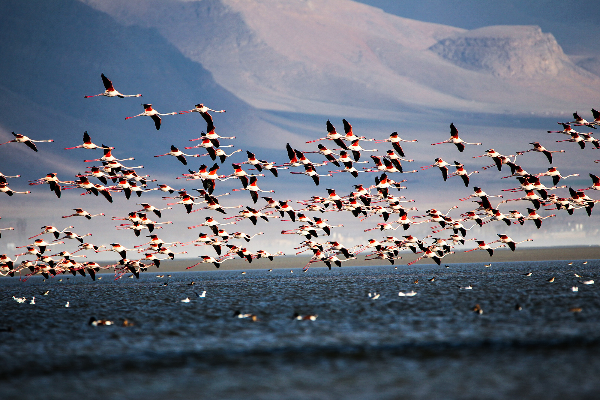 Mighan Lagoon