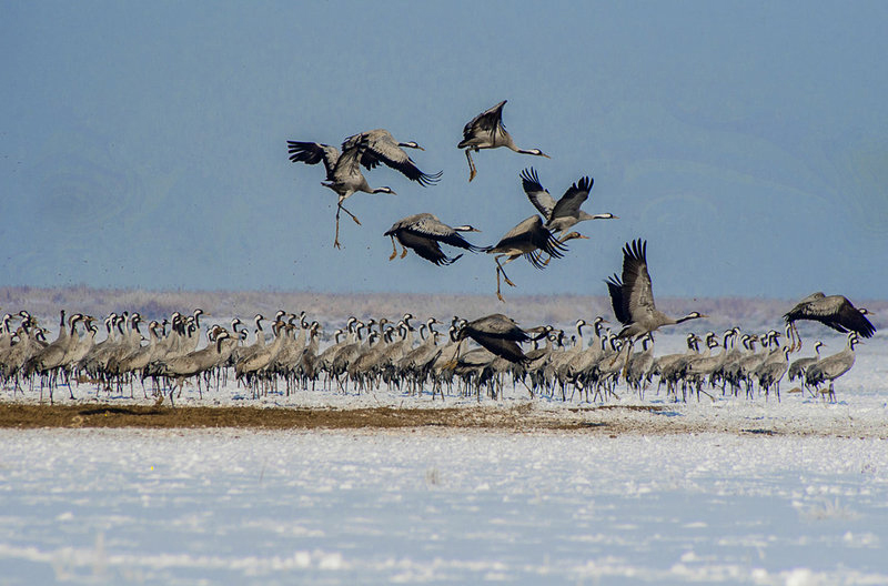 Mighan Lagoon