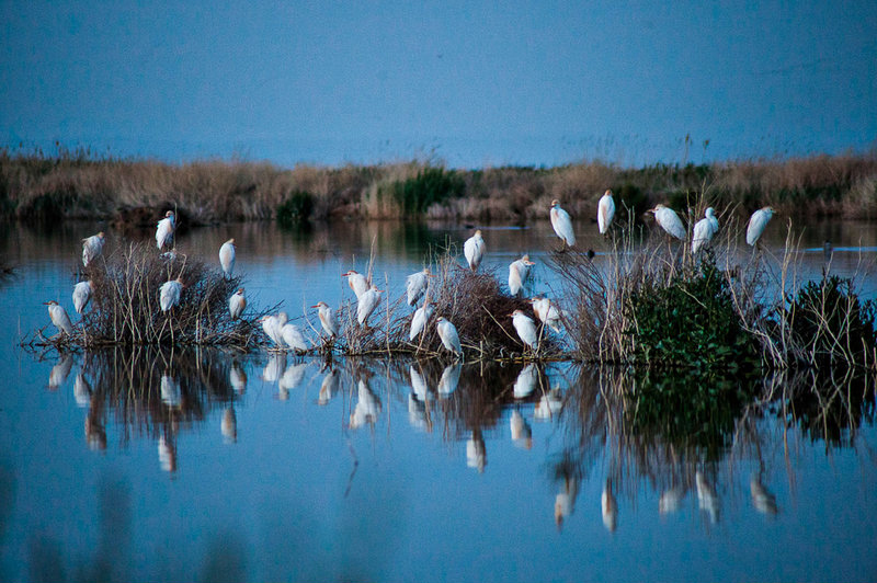Mighan Lagoon