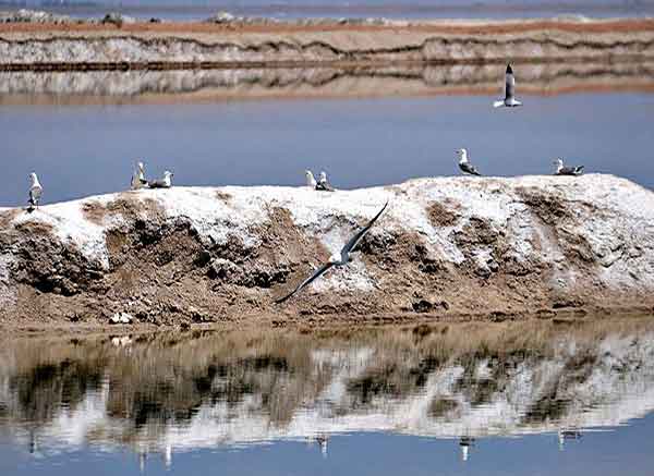 Mighan Lagoon