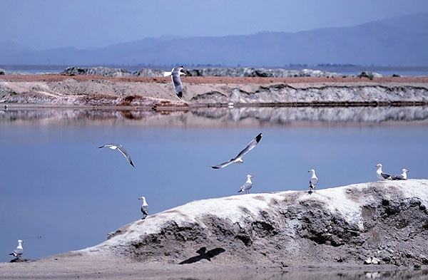 Mighan Lagoon