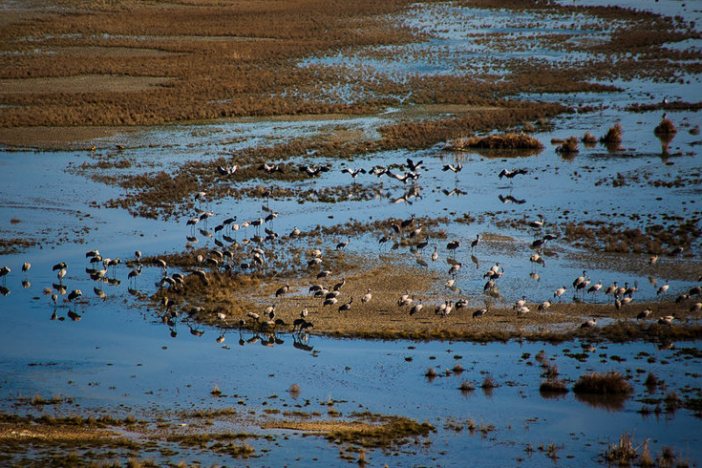 Mighan Lagoon
