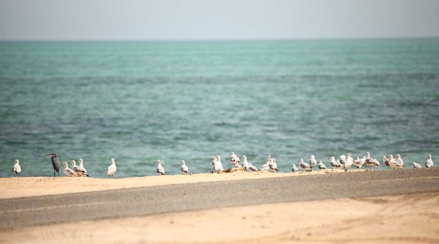 Kish Beaches