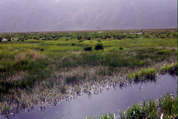 Gandoman Lagoon