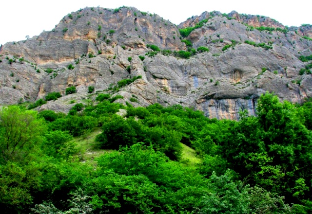 Golestan National Park