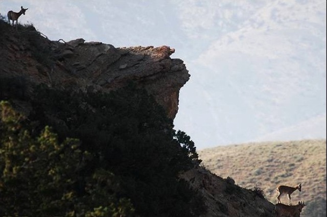 Golestan National Park