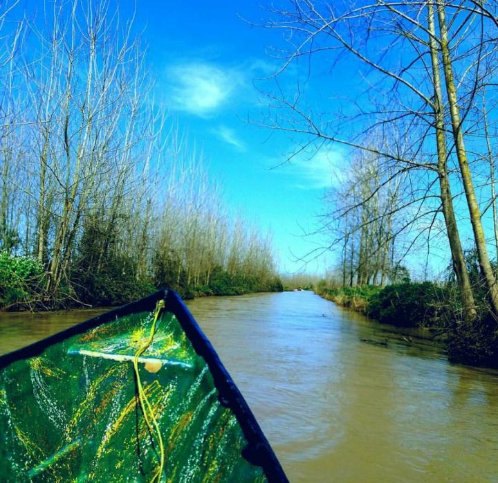 Anzali Lagoon