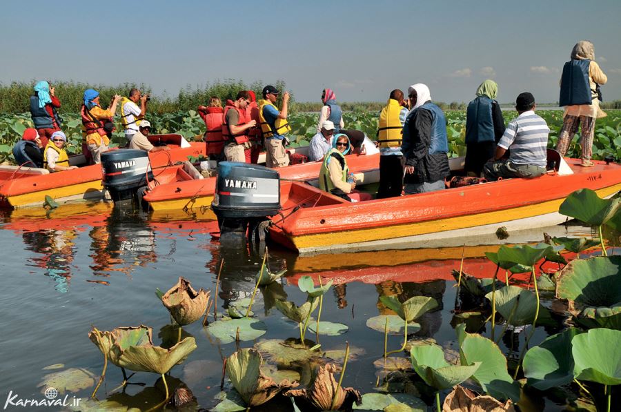 Anzali Lagoon