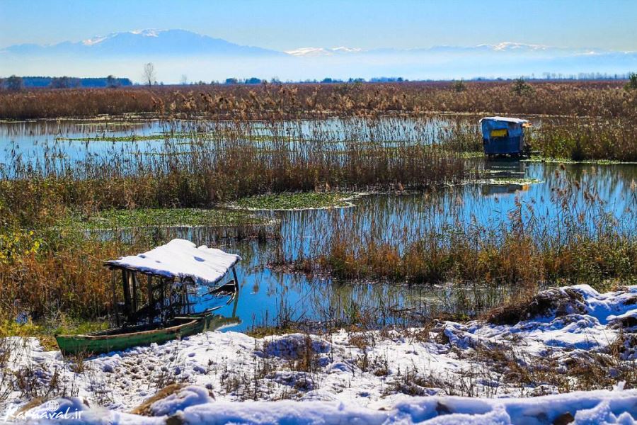 Anzali Lagoon