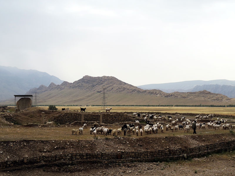 Kul-e Farah Rock Reliefs