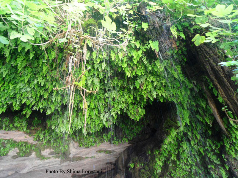 Darreh Shahr Waterfalls